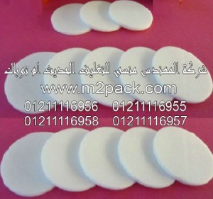 الطبة المانعة للتسرب